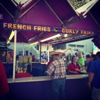 texas_state_fair_fried_french_fries.JPG