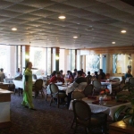 Beyond India Indo-American Cuisine