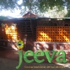 Jeeva, Cocina Tradicional Del Sur De India